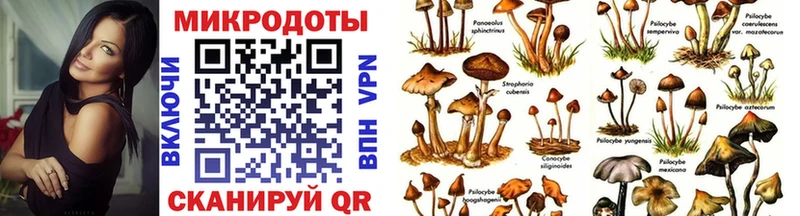 Псилоцибиновые грибы GOLDEN TEACHER  даркнет сайт  Белинский 